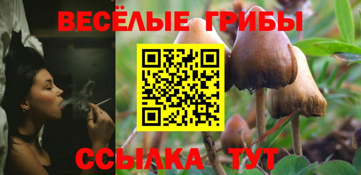 Галлюциногенные грибы ЛСД Назарово