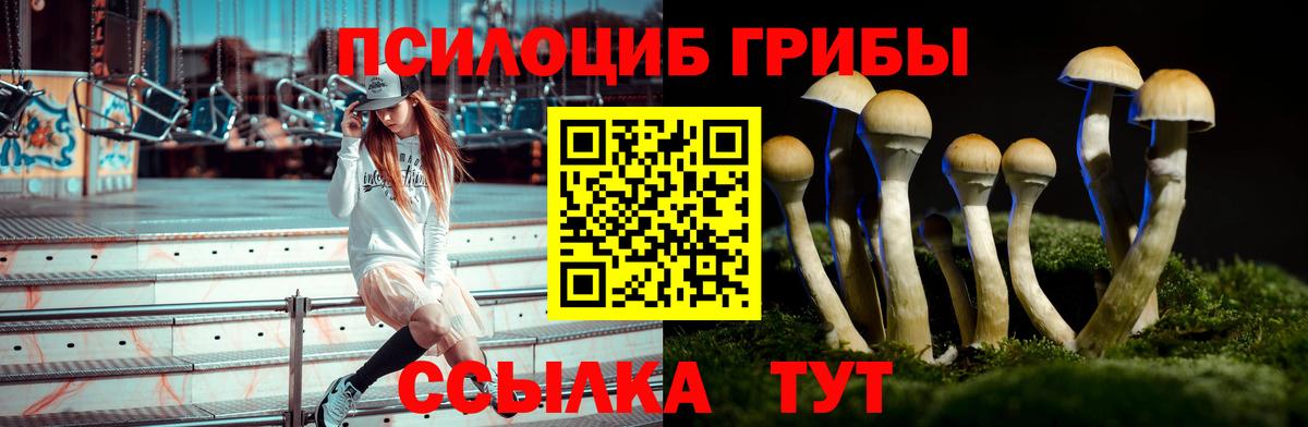Псилоцибиновые грибы GOLDEN TEACHER  Вход с VPN  Назарово 